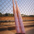 2026 Onyx STAY STRONG Balanced USSSA Slow Pitch Softball Bat, 13.5 in Barrel, ONYX-SS