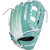 2026 Easton Professional Collection Color Splash 3.0 Fastpitch Softball Glove, Outfield, 12.5 in Size, PCFP125-6SP