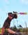 2027 Louisville Slugger SUPRA Composite USSSA Baseball Bat, -8 Drop, 2-3/4 in Barrel, WBL4252010