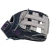 2026 Rawlings AJ99 PRO PREFERRED Baseball Fielding Glove, Outfield, 12.75 in Size, PROSAJ99NG