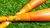 2026 BoombahPure Kylee Studioso SUNSET REFRESHER Endloaded USSSA Slow Pitch Softball Bat, 13 in Barrel, M3B1-6207