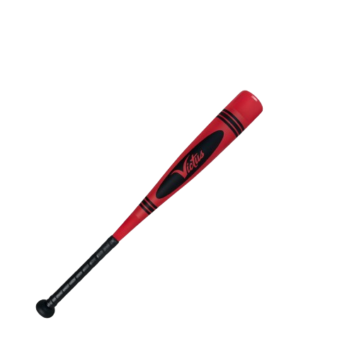 msrvistawingヴィスタウイングビスタウイングアジャスタブルポール付属 MSR ビスタウイング Vista Wing