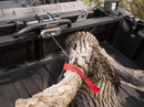 Can-Am Defender HD10 Bed Winch