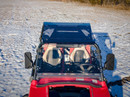 Polaris RZR 800 Tinted Roof