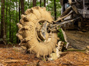 Assassinator® UTV / ATV Mud Tires