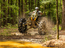 Terminator MAX UTV/ATV Tires