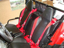 Polaris RZR 170 4-Point Harness Kit