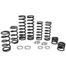 Polaris RZR XP 4 1000 / Turbo Stage 1 Dual Rate Spring Kit (Fox IBP Shock)