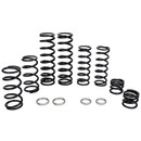 Polaris RZR PRO XP Stage 1 Dual Rate Spring Kit (Fox Dynamix Shock)