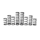 Polaris RZR Pro R Walker Evans Stage 1 Spring Kit (2022-2024)