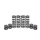 Polaris General 1000 Stage 1 Spring Kit W.E. Shock