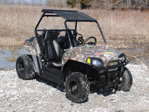 Polaris RZR 170 Tinted Roof