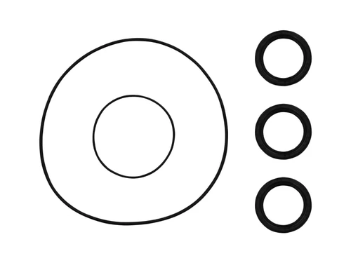 Polaris RZR 800 Front Differential Seal Kit