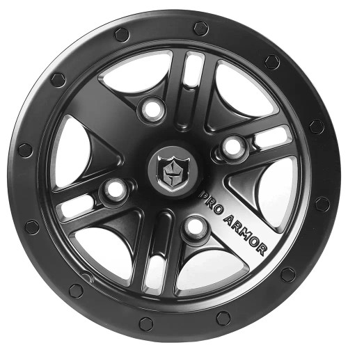 Pro Armor Youth Polaris RZR 200 Combat - Rear 12x7 - Black