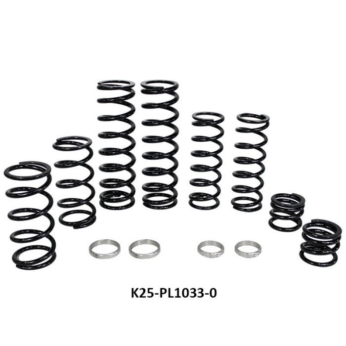 Polaris RZR PRO XP 4 seat Stage 1 Dual Rate Spring Kit (Fox Dynamix Shock)