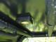 Kawasaki Teryx Aluminum Roof Top (2008-2013)