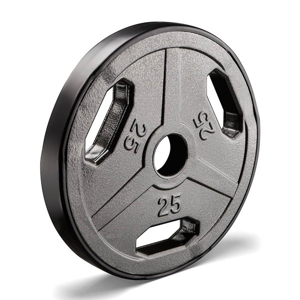 weight plates 25 lb