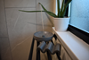The Wave Soap Dish