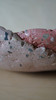 The Candy Apple & Overseas Pink Sculpted Bowl