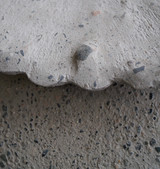 Exclusive Collaborations 