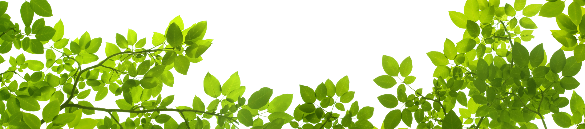 Royal Organics