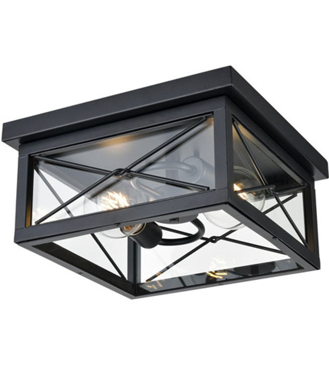 County Fair 2 Light Flush Mount Black with Clear Glass Finish