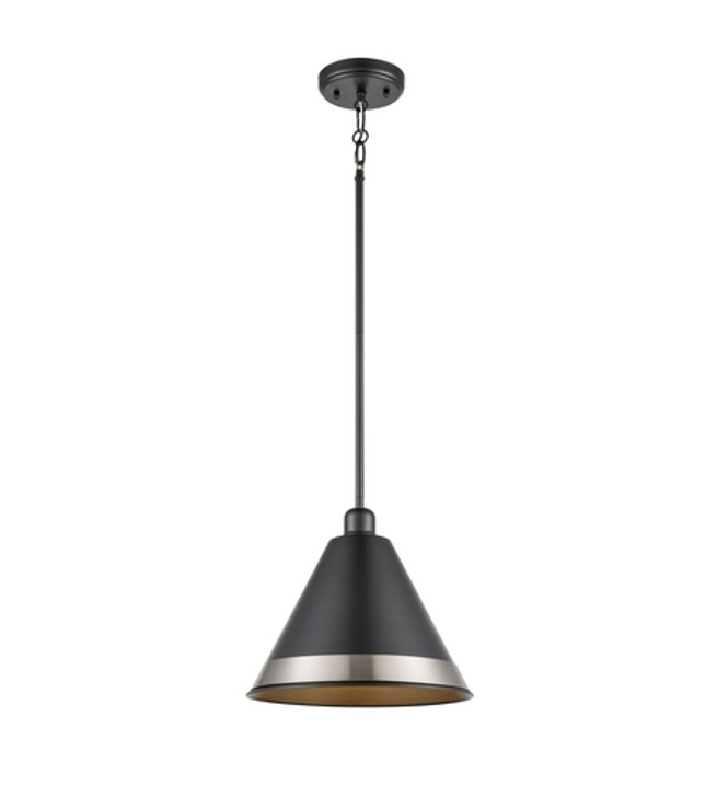 Place Royal 11.5 Inch Pendant Graphite and Multiple Finishes