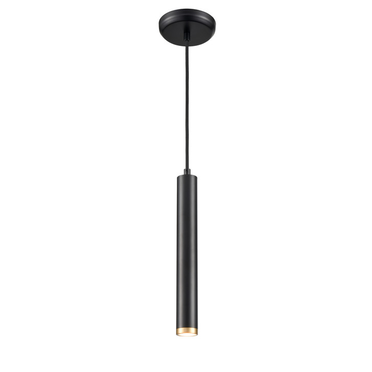 Baffin 12 Inch Pendant Multiple Finishes and Ebony Finish