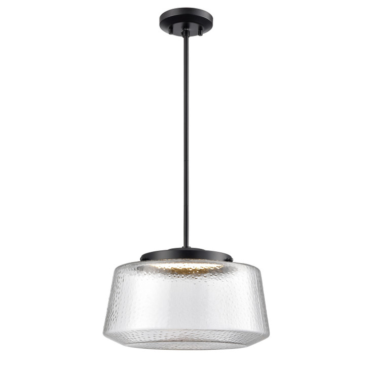 Lunenberg CCT Pendant Ebony with Hammered Clear Glass Finish
