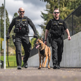 Danner Men's 4.5 in. Striker Bolt 9