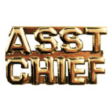 Hero's Pride Asst Chief Die Struck Letters Pins, 1/4 in., Gold Plate