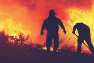 The Durable Gear One Wildland Firefighter Swears By