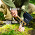 Gerber Bushcraft Axe, Coyote Brown, Sheath and Hammer Head