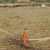 C & S Supply 3/4 in. GHT Watershield Sprinkler Head Kit, Shown in Use in Field
