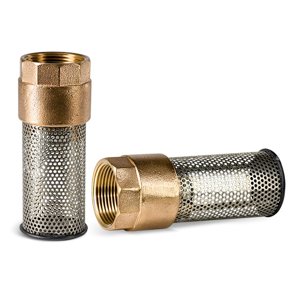 Flomatic 60SE Foot Valve with Strainer