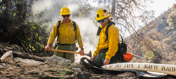 Wildland Firefighters