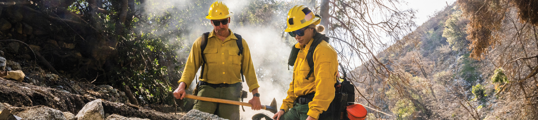 Wildland Firefighters