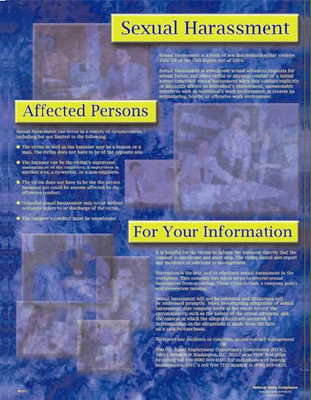 Sexual Harassment Informational Posters in ENGLISH  pic 1