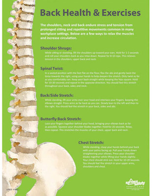 Back Health & Exercises Safety Posters in ENGLISH  pic 1