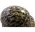 Army Men Khaki Hydro Dipped Hard Hats Cap Style