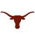 Texas Longhorns Hard Hats