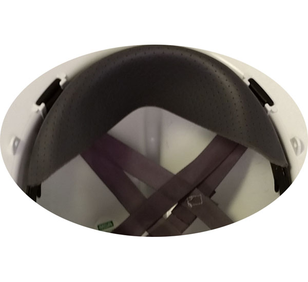 MSA Topgard  ~ Inside and Suspension