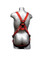 Freedom Flex Harness ~ 3 D Ring, Tongue Buckles  - Back View