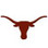 Texas Longhorns Hard Hats