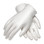 Vinyl Disposable Gloves Powder Free (100 gloves) ~ Size Large