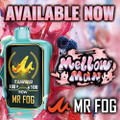 MR FOG NOVA LIMITED EDITION 36,000 PUFFS DISPOSABLE VAPE
