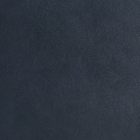 Santorine - Ocean - Chair - Leather Match