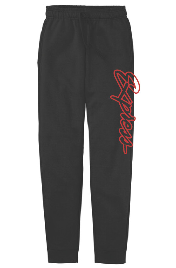 Express Cotton Youth Jogger Pants