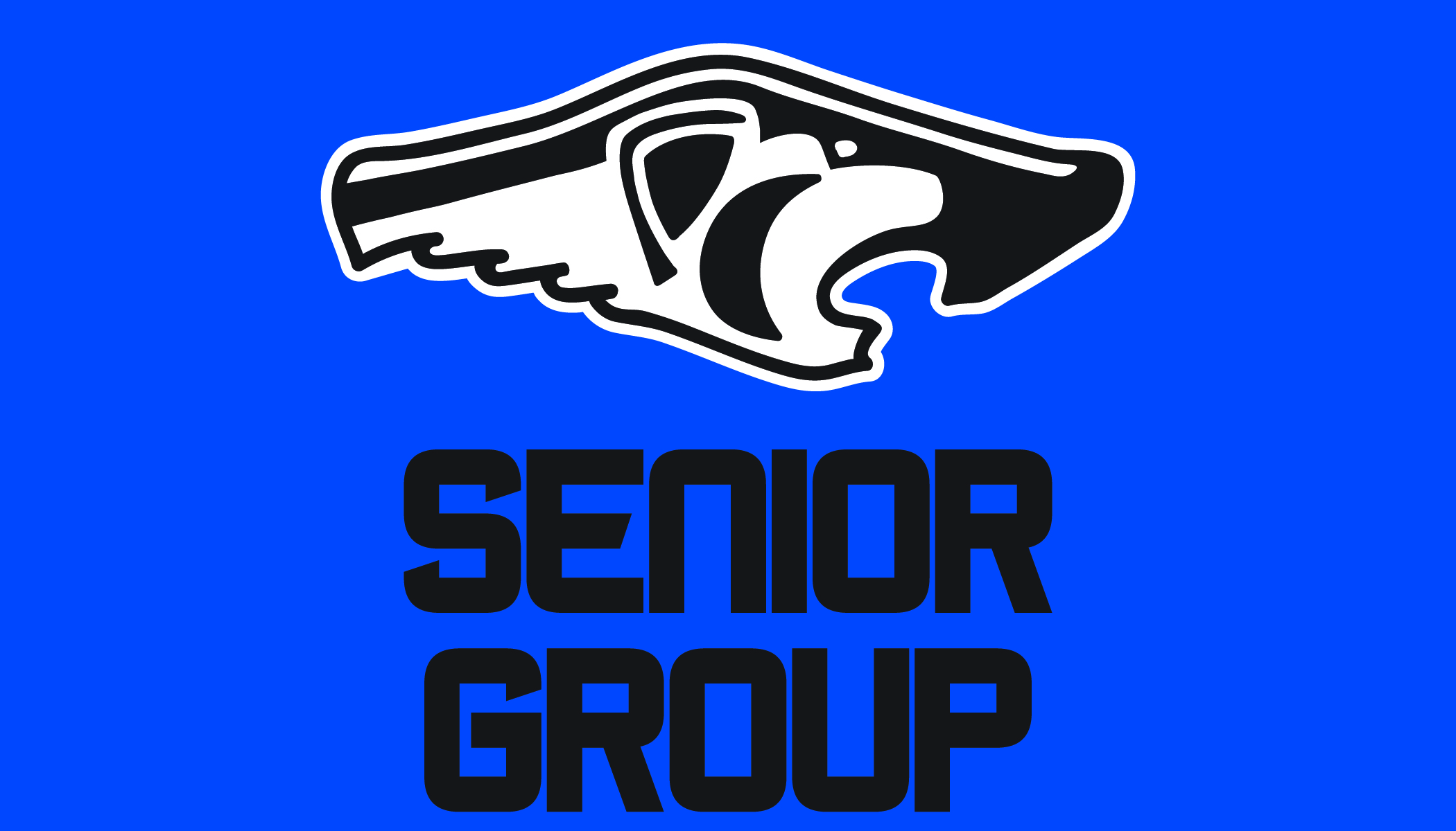 2023-bac-senior-group-web-header.jpg