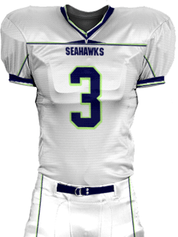 Control Series - Adult/Youth "Decleater Classic" Custom Sublimated Football Jersey